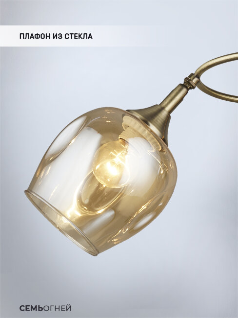 Потолочная люстра Wedo Light Krodo 66665.01.05.02