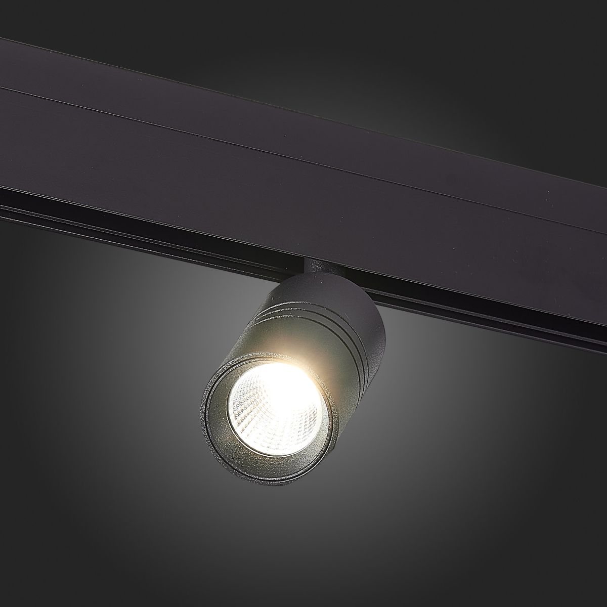 Трековый светильник ST Luce Lemmi ST365.446.07 УЦ