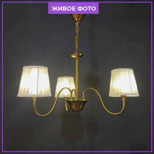 Подвесная люстра Wedo Light Safiya 66703.01.04.03