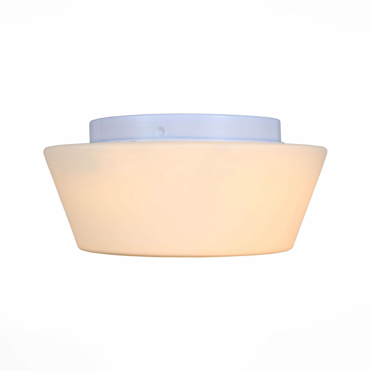 Потолочный светильник ST Luce SL296.502.02