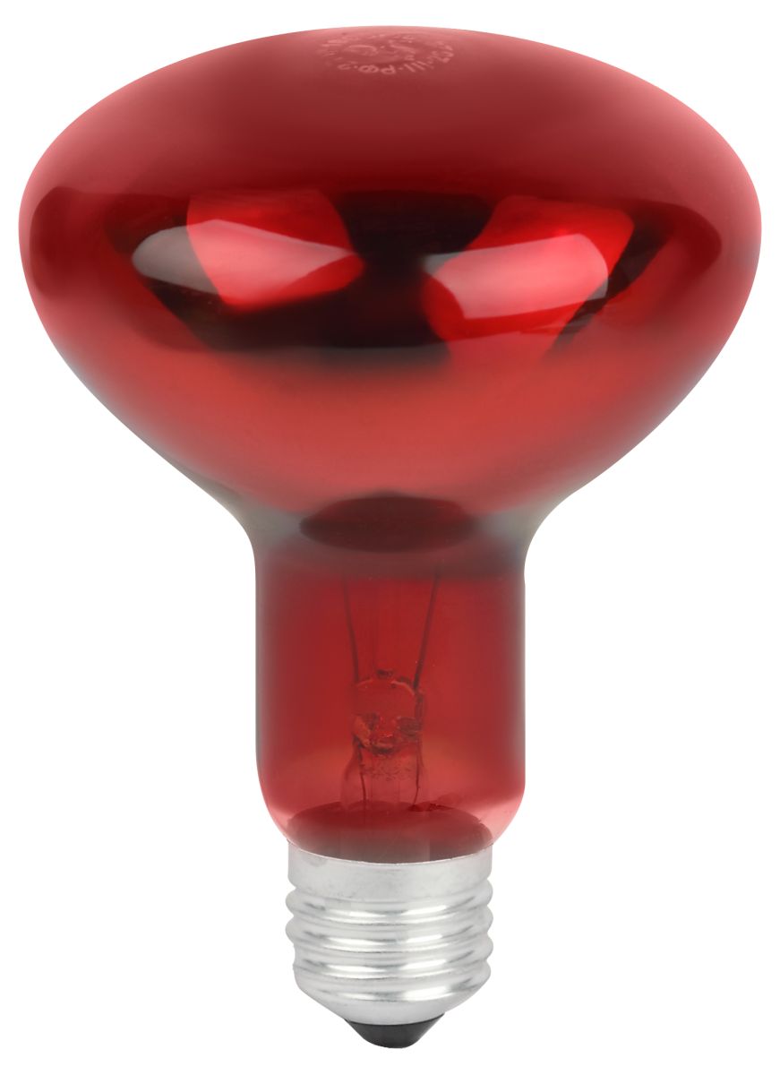 Инфракрасная лампа для обогрева животных и освещения Эра ИКЗК 230-100 R95 E27 Б0064638