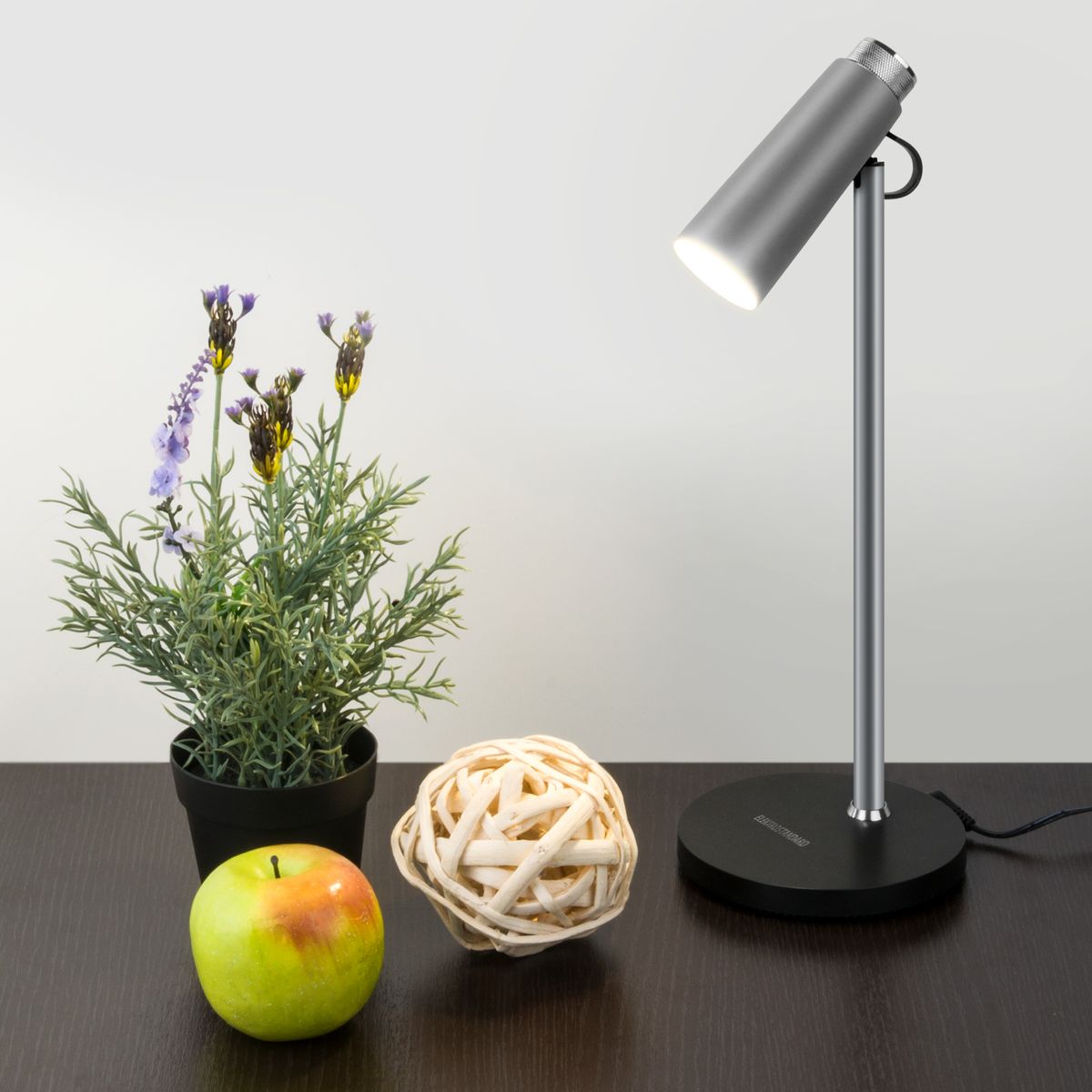 Настольная лампа Elektrostandard Joel серебро/хром TL70190 4690389018114