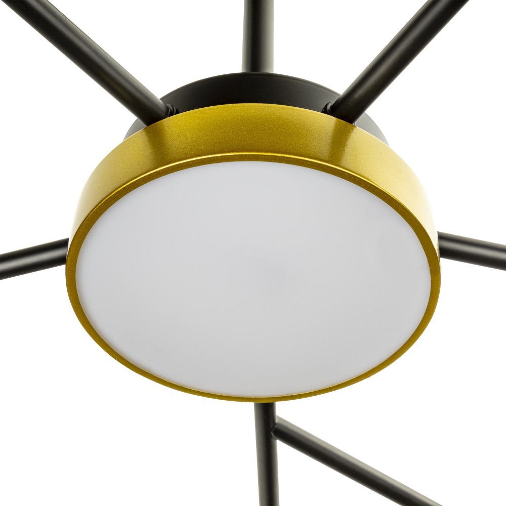 Люстра на штанге Ritter Notte 51596 2