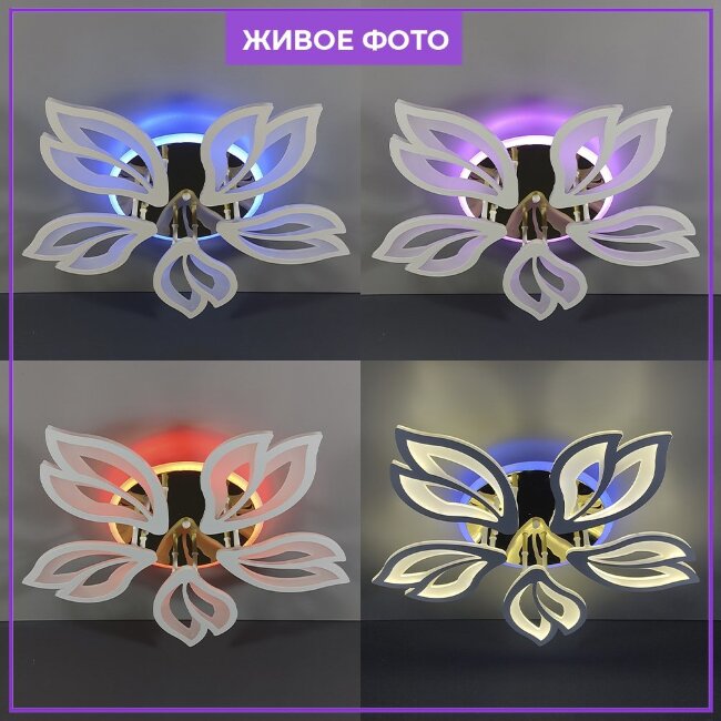 Потолочная люстра Wedo Light Tires 75363.01.09.05RGB