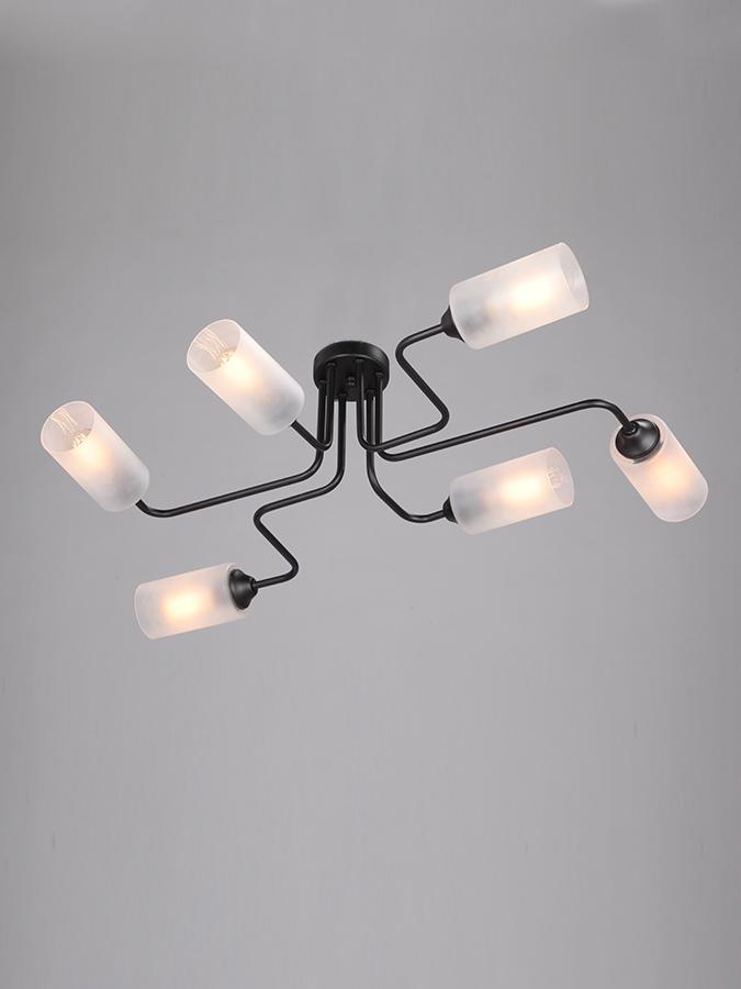 Потолочная люстра Vitaluce V4310-1/6PL