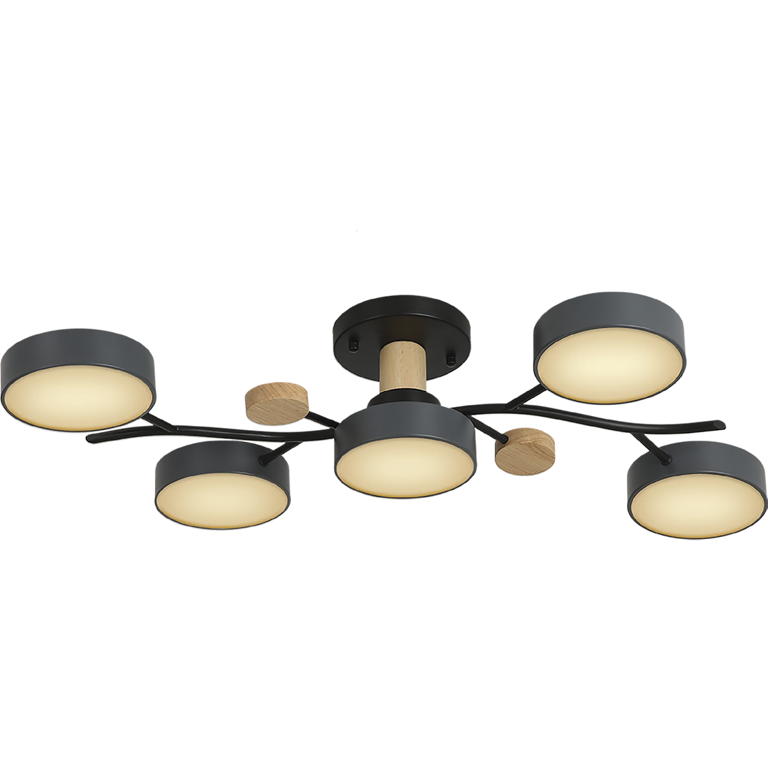 Потолочная люстра Ritter Scandia 52080 1