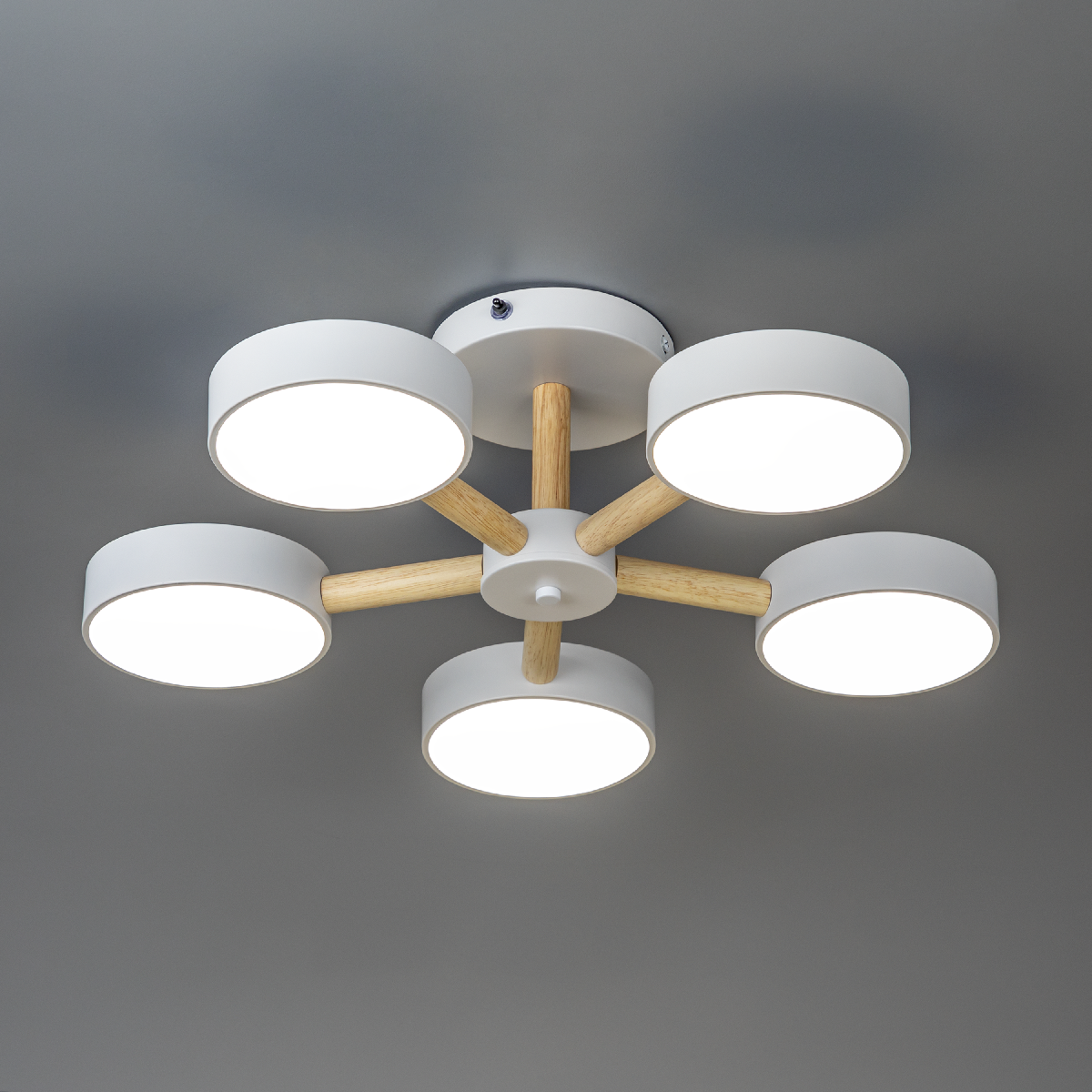 Люстра на штанге Ritter Scandia 51591 7