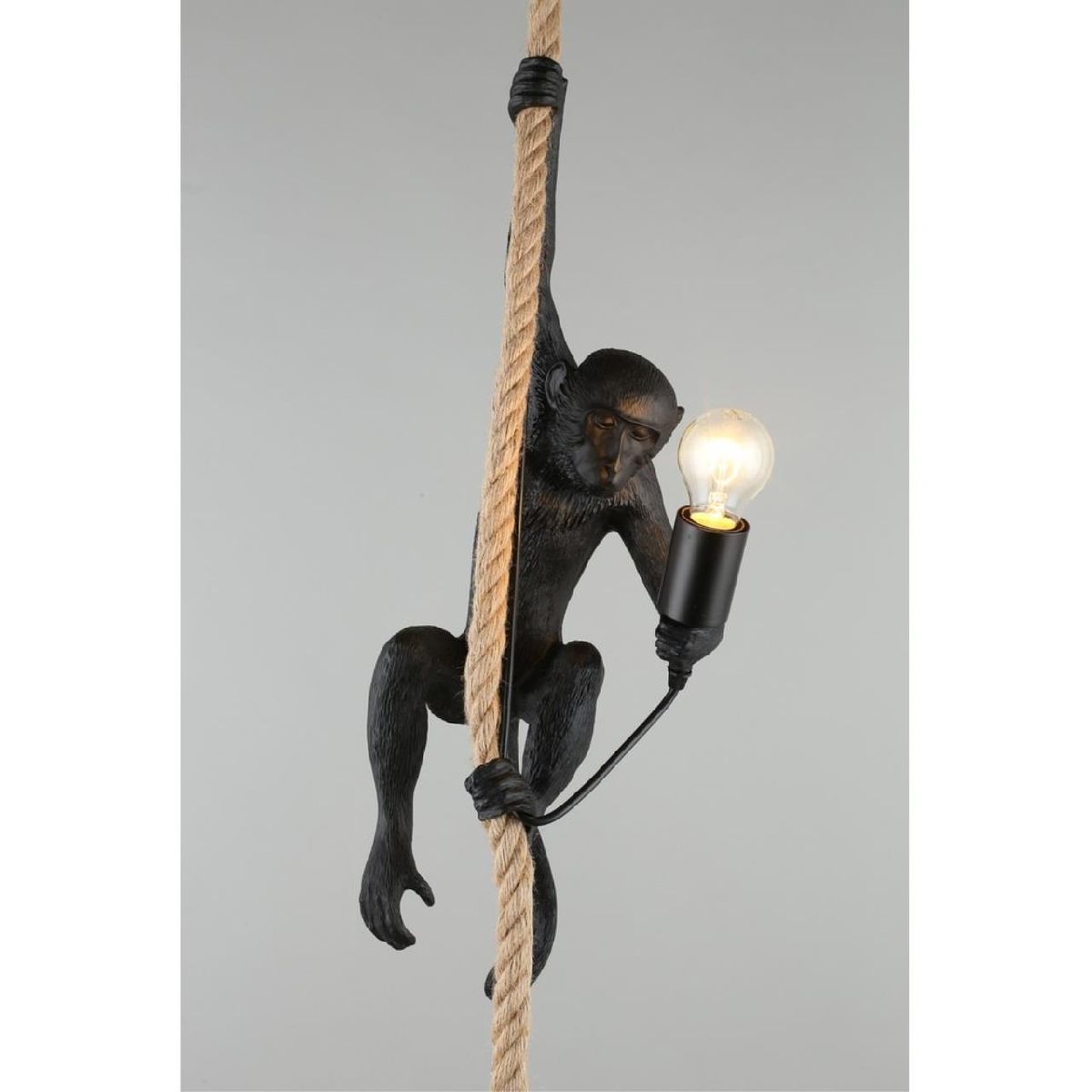 Подвесной светильник Aployt Magali APL.309.16.01