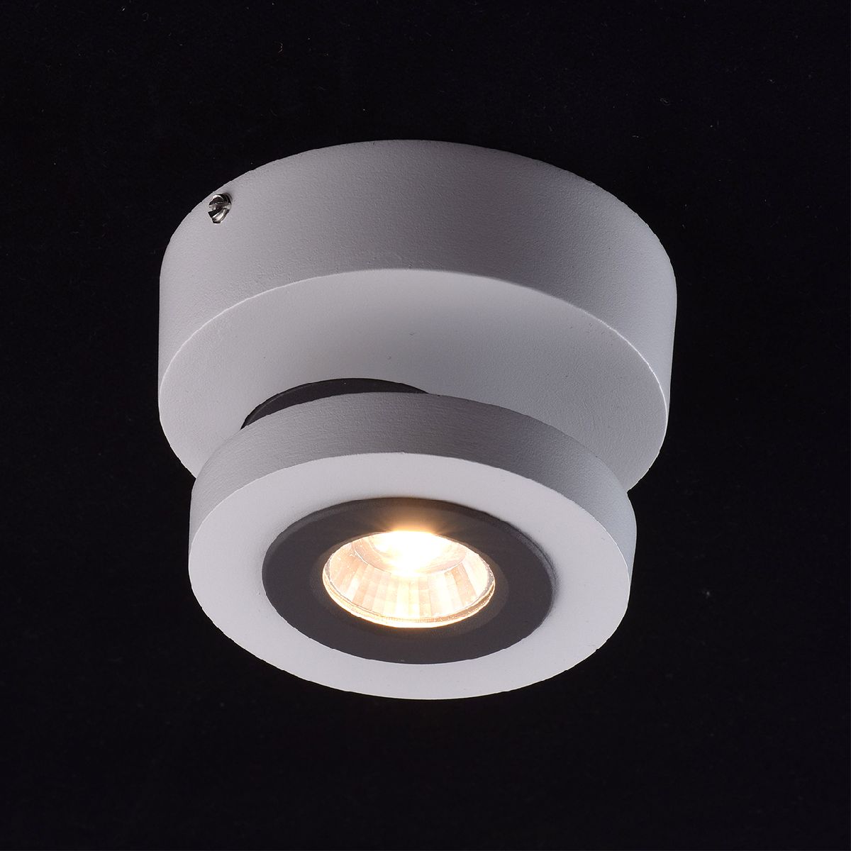 Спот MW-Light Астор 545020801