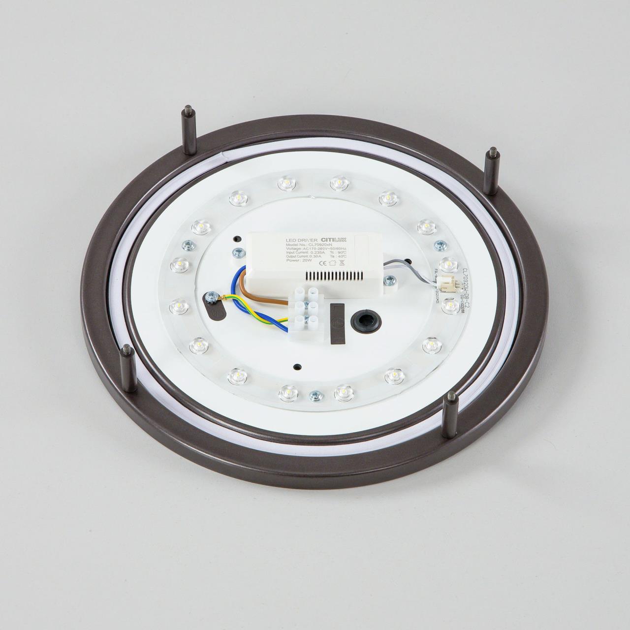 Настенно-потолочный светильник Citilux Бостон CL709205N