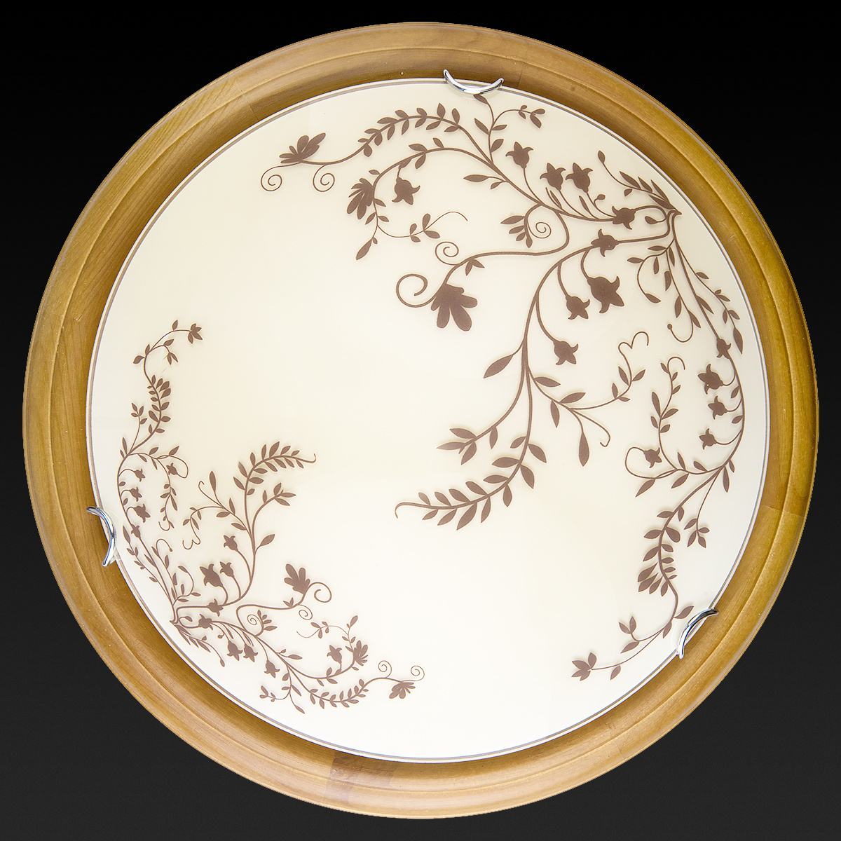 Настенно-потолочный светодиодный светильник Toplight Irene TL9630Y-00OA