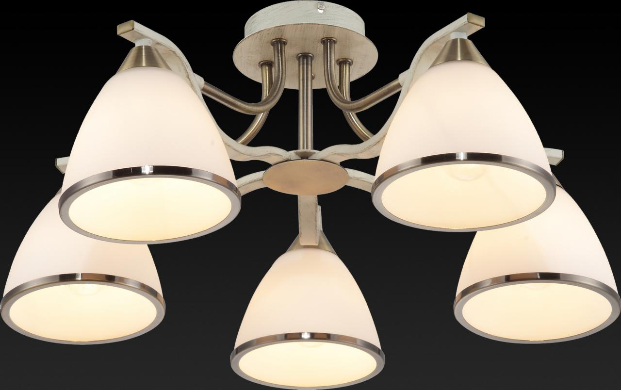 Потолочная люстра Toplight Sheena TL3670X-05AB