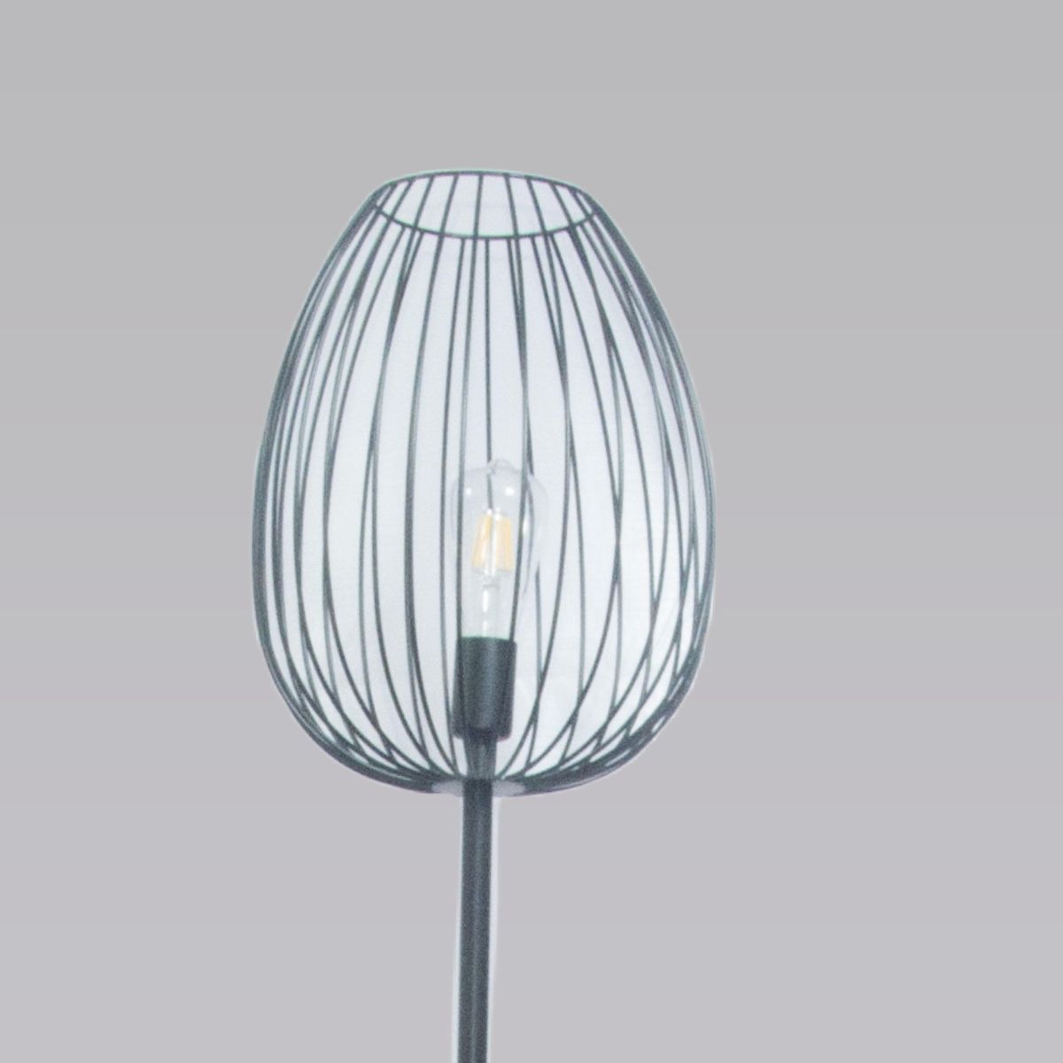 Торшер Alfa Light F3524-43