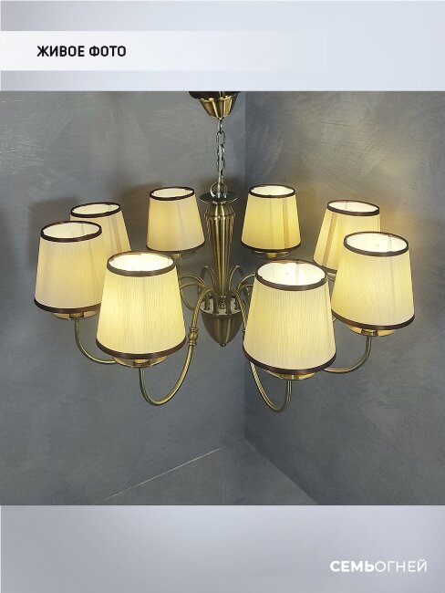 Подвесная люстра Wedo Light Dzhulianna WD3575/8H-AB-BG