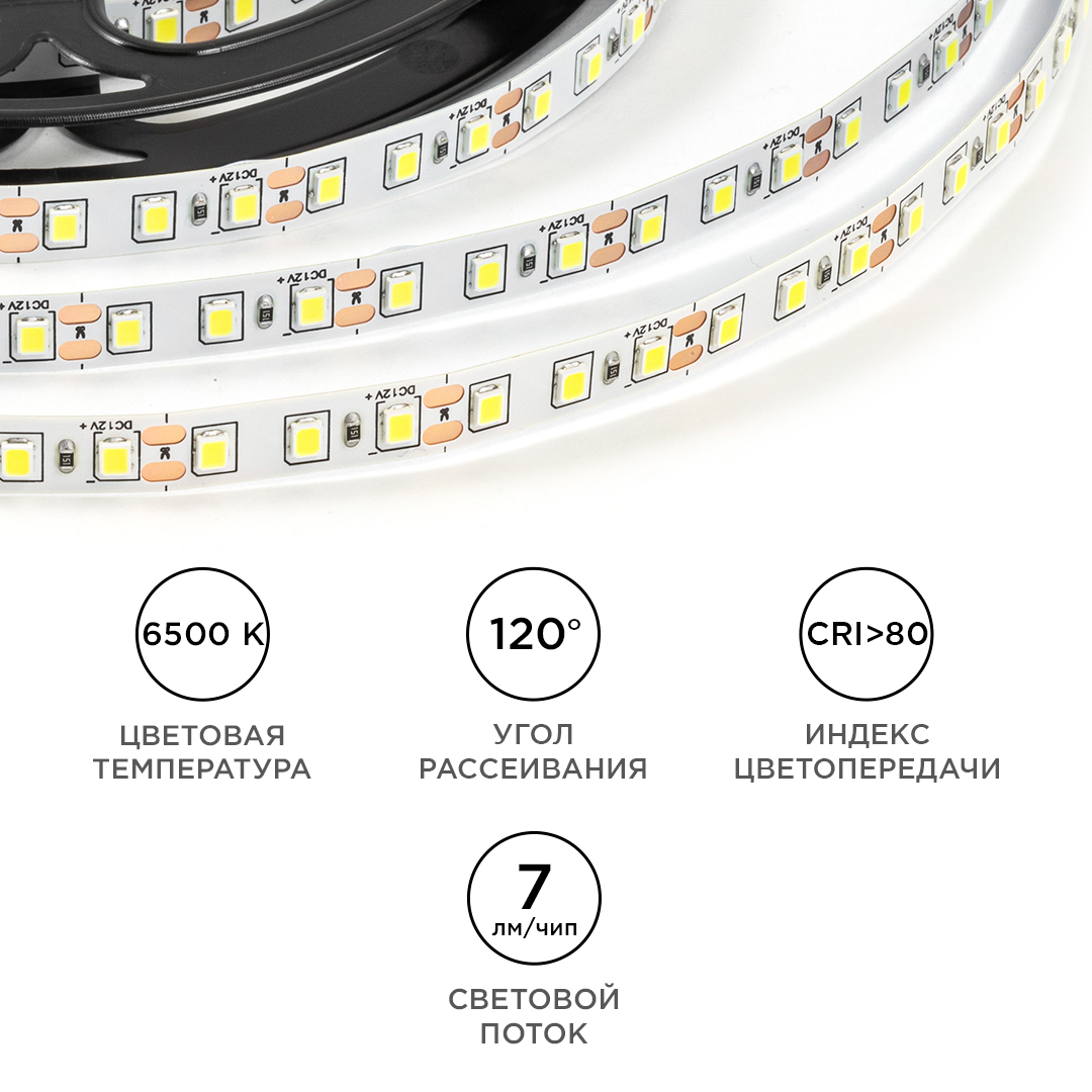 Светодиодная лента OGM 12В 2835 9,6Вт/м 6500К 7Лм/чип 5м IP20 LSE-258