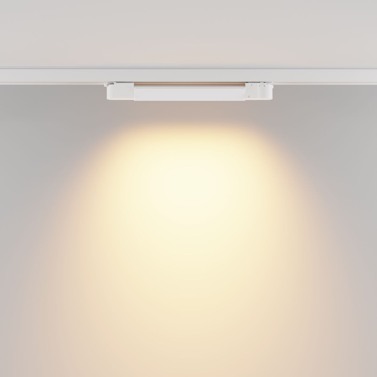 Трековый трехфазный светильник Maytoni Basis TR196-3-10W2.7K-W