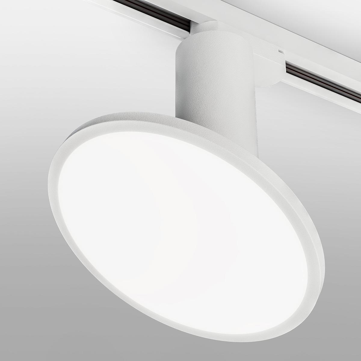 Трековый светильник Elektrostandard Brain Белый 12W 4200K (LTB50) однофазный 4690389148149