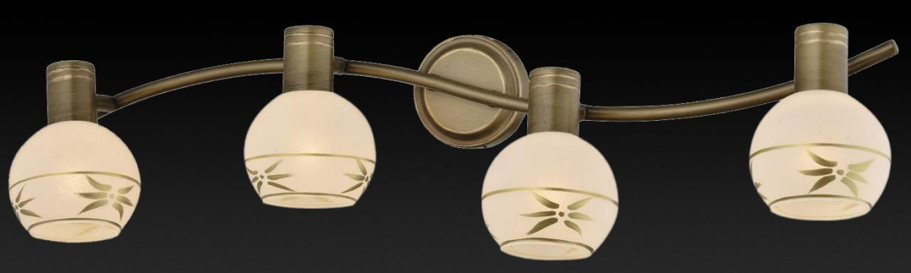 Спот Toplight Sharleen TL3790Y-04AB