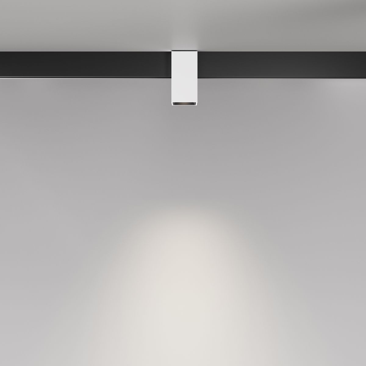 Трековый магнитный светильник Maytoni Alfa TR121-2-7W4K-W