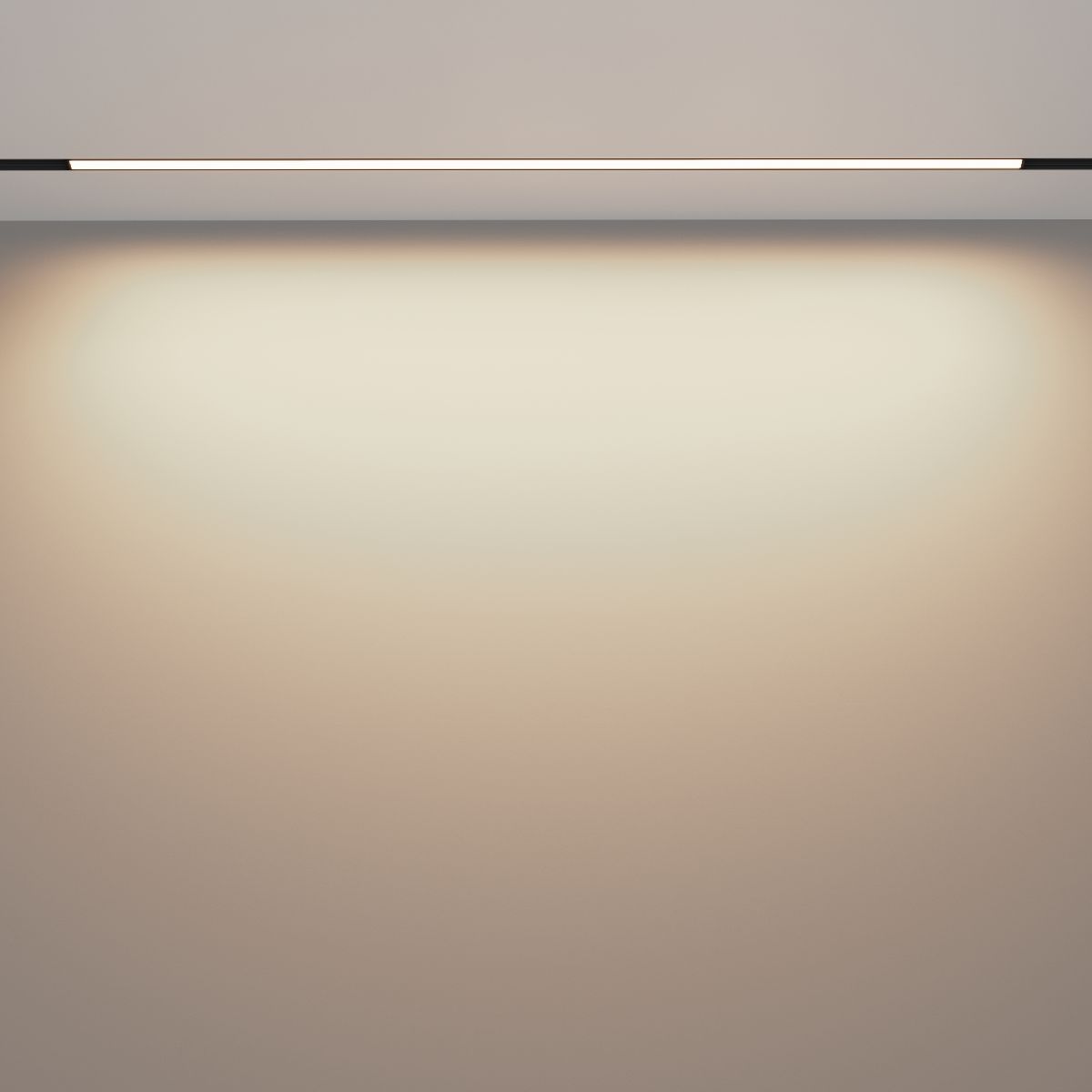 Трековый магнитный светильник Maytoni Basis TR030-2-30W3K-B