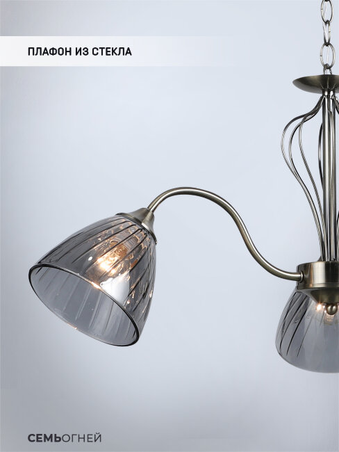 Подвесная люстра Wedo Light Savena WD3625/3H-AB-SMK