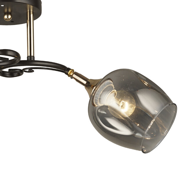 Потолочная люстра Wedo Light Alvi 66744.01.15.02