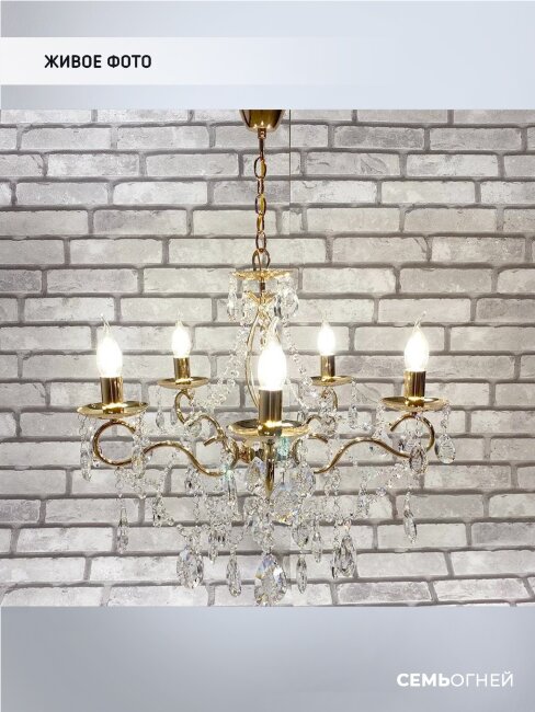 Подвесная люстра Wedo Light Rollo WD3544/5H-FGD-CL