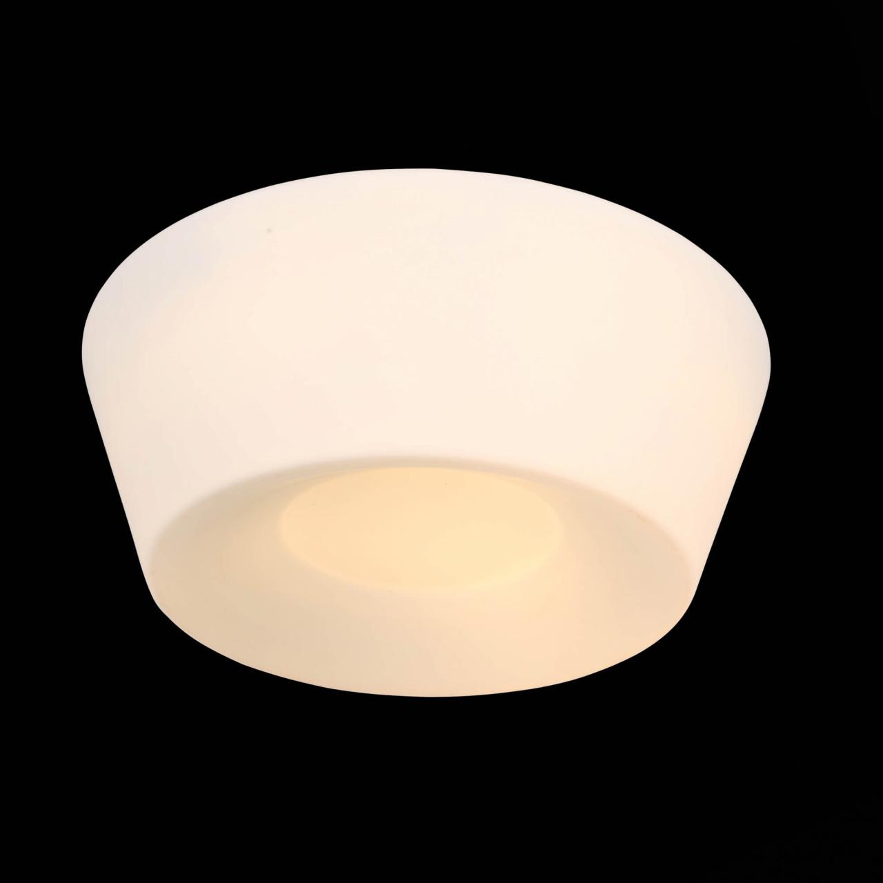 Потолочный светильник ST Luce SL296.502.02