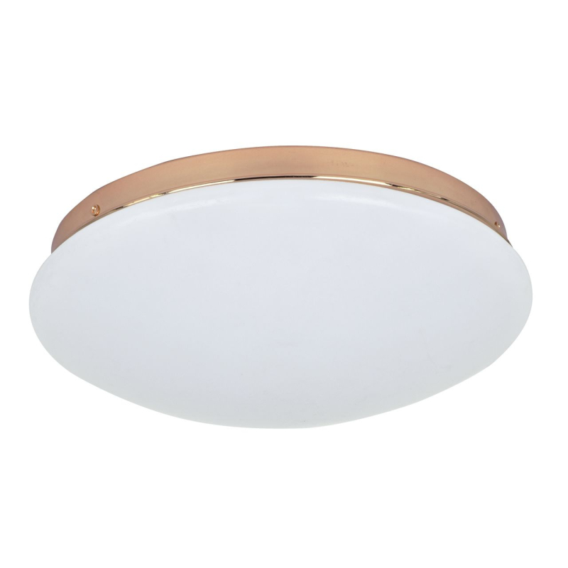 Потолочный светодиодный светильник F-Promo Ledante 2465-2C