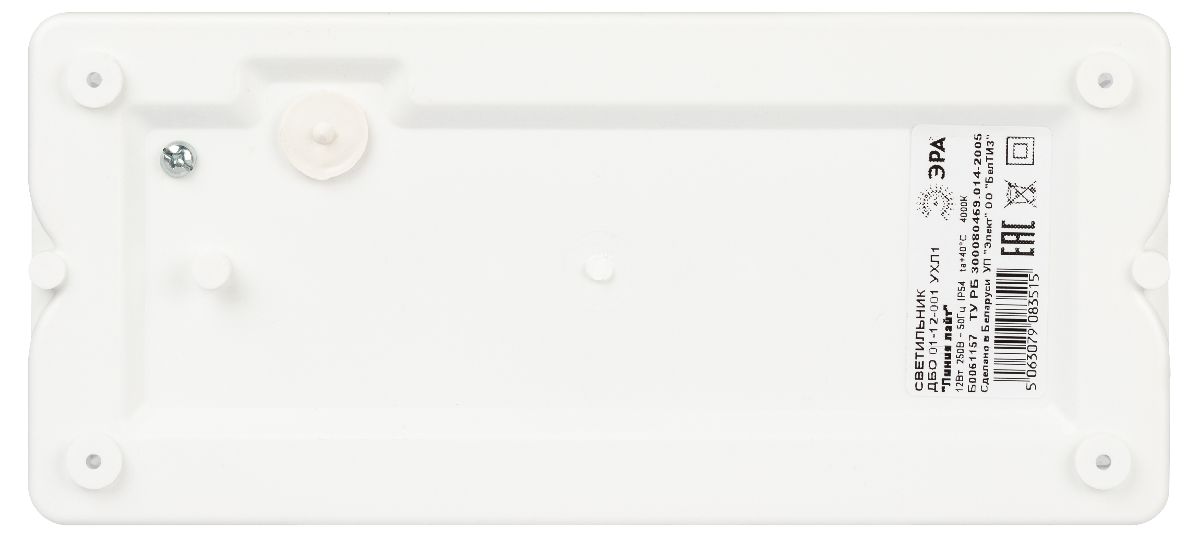 Настенно-потолочный светильник Эра ДБО 01-12-001 Б0061157