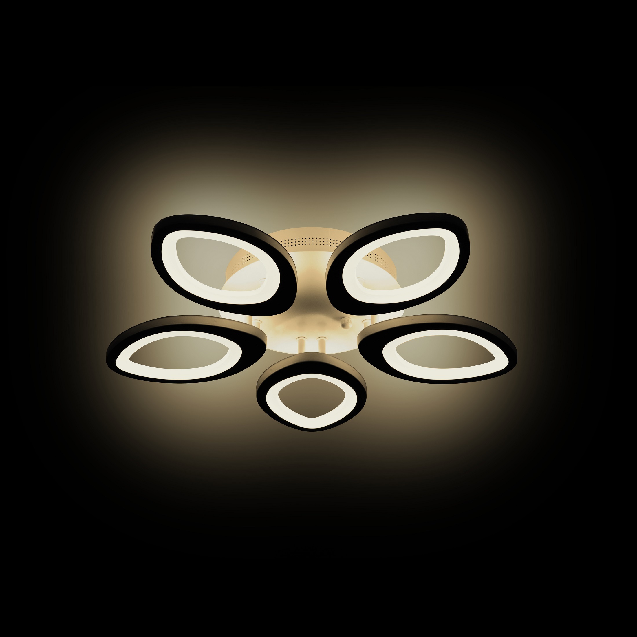 Потолочная люстра Ritter Villa 52035 1