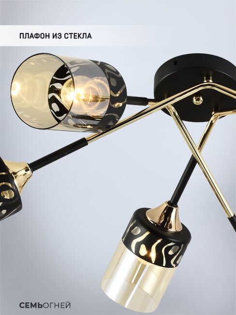 Потолочная люстра Seven Fires Dzheroen SF3362/6C-BK-FGD-AM