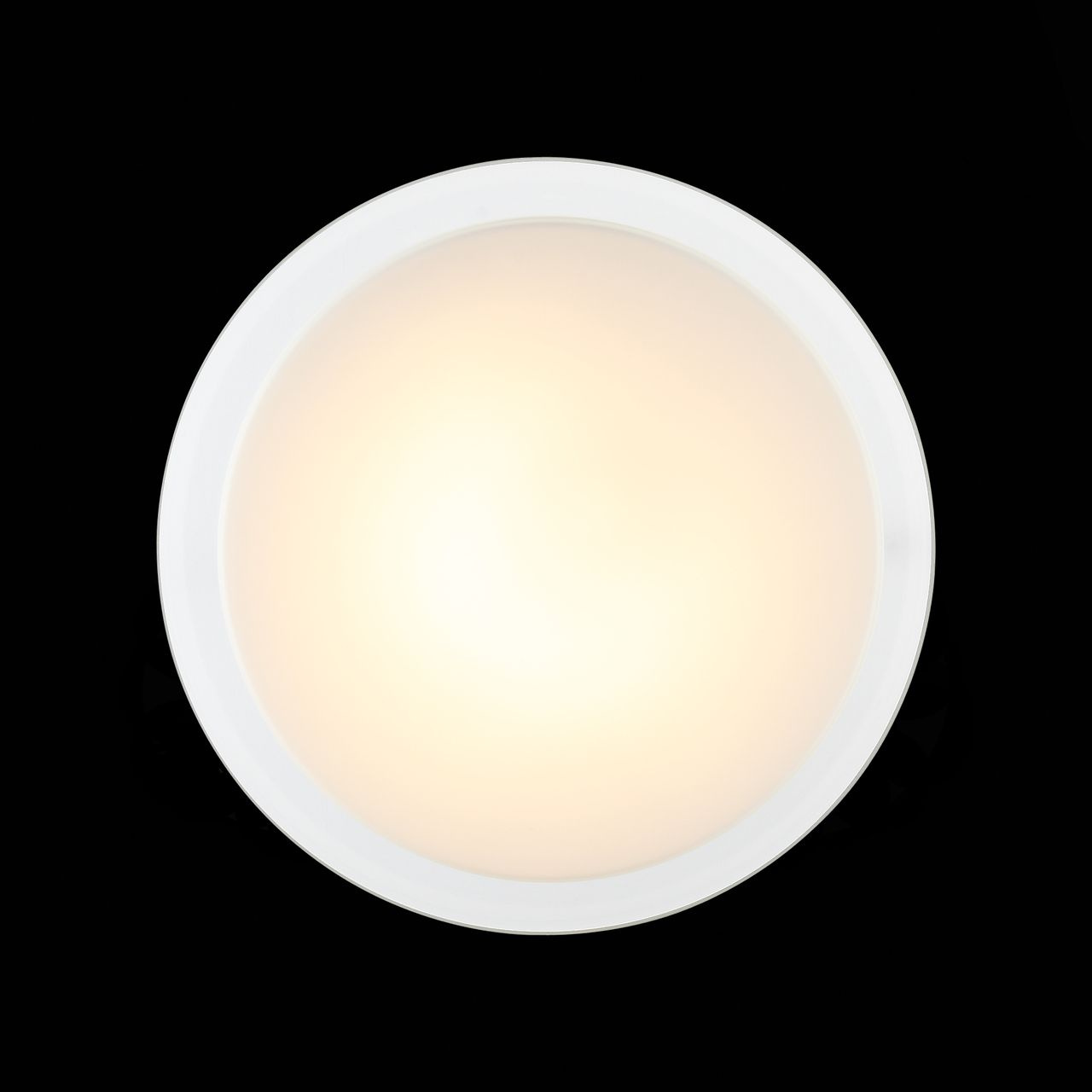 Потолочный светодиодный светильник ST Luce Botone SL466.512.01