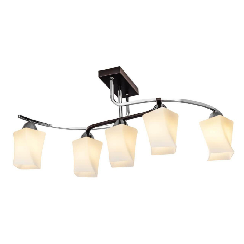 Потолочная люстра Silver Light Dessin 110.59.5