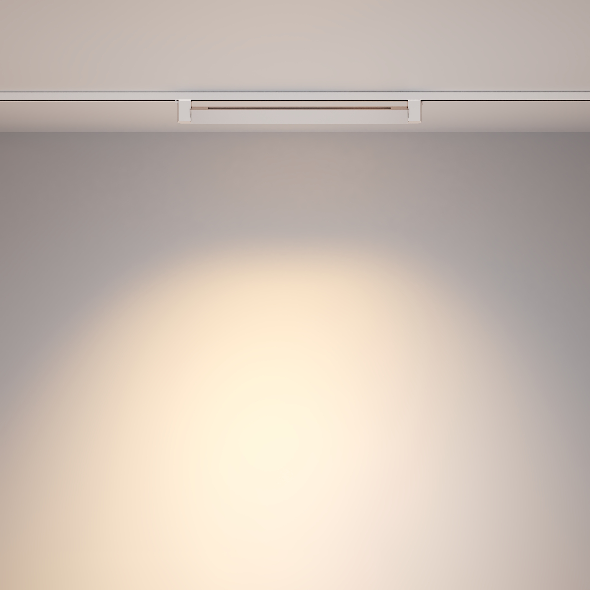 Трековый однофазный светильник Maytoni Points Rot TR010-1-20W3K-M-W