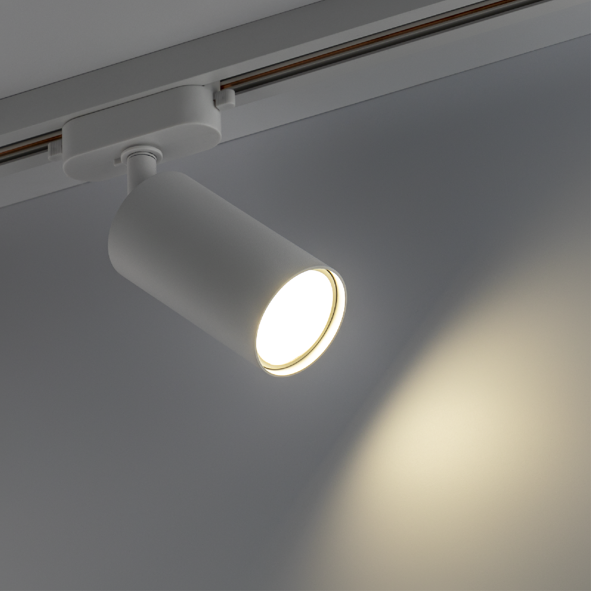 Трековый однофазный светильник Ritter Artline 59875 0