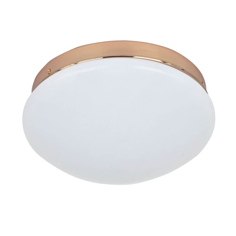 Потолочный светодиодный светильник F-Promo Ledante 2465-1C