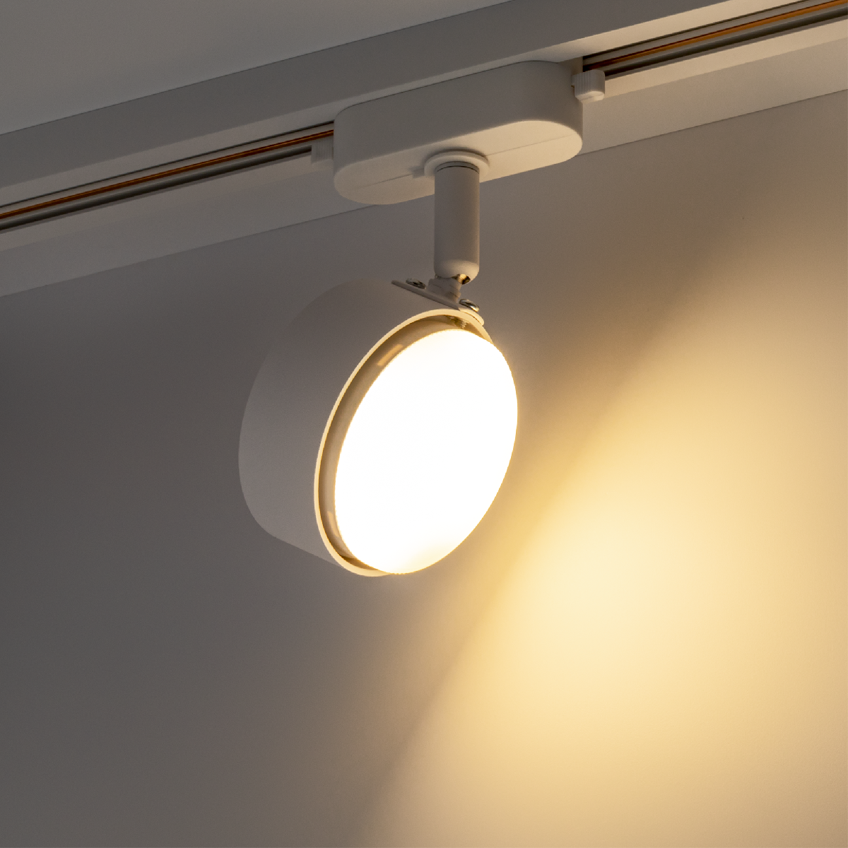 Трековый однофазный светильник Ritter Artline 59923 8