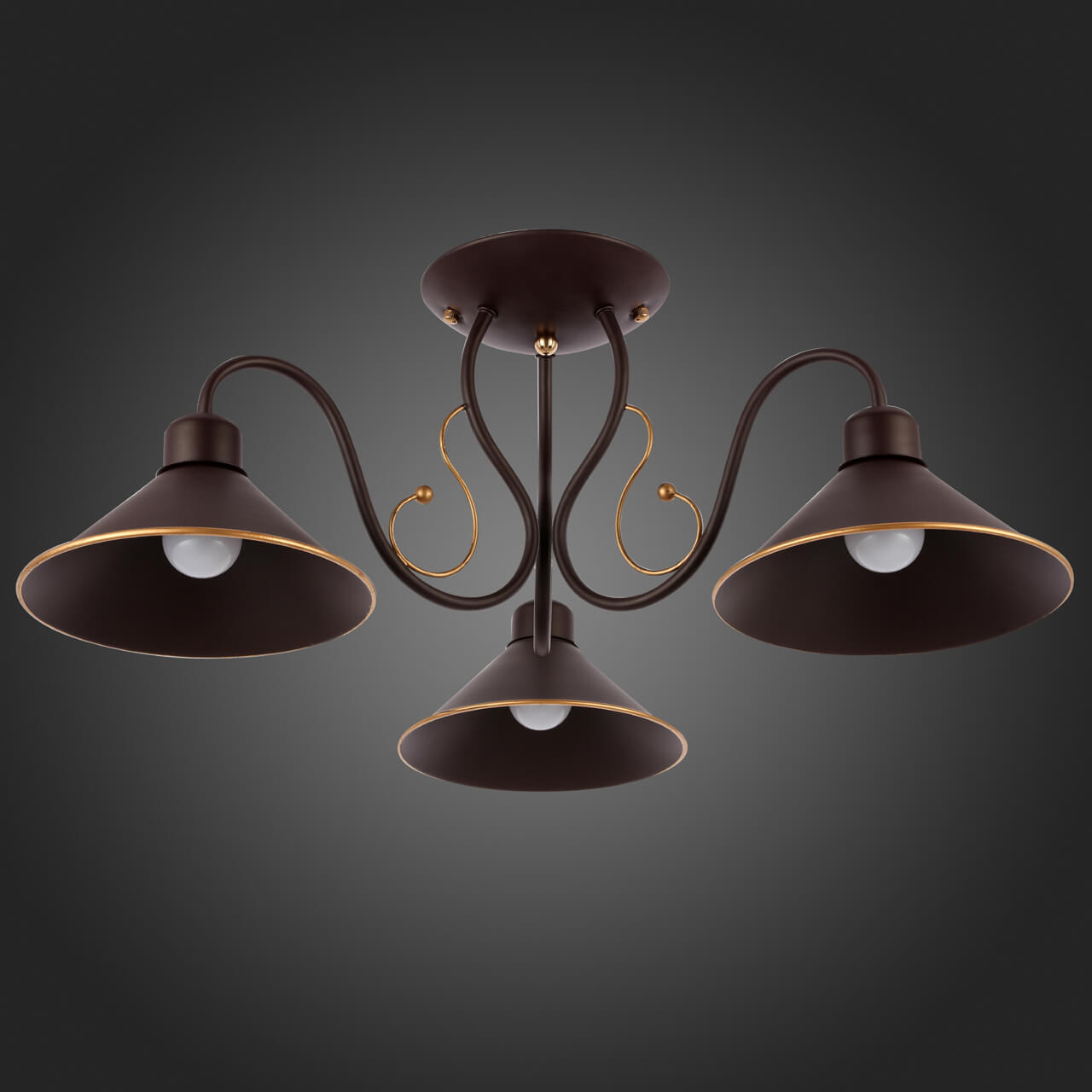 Потолочный светильник EVOLUCE CIOLLA SLE120402-03