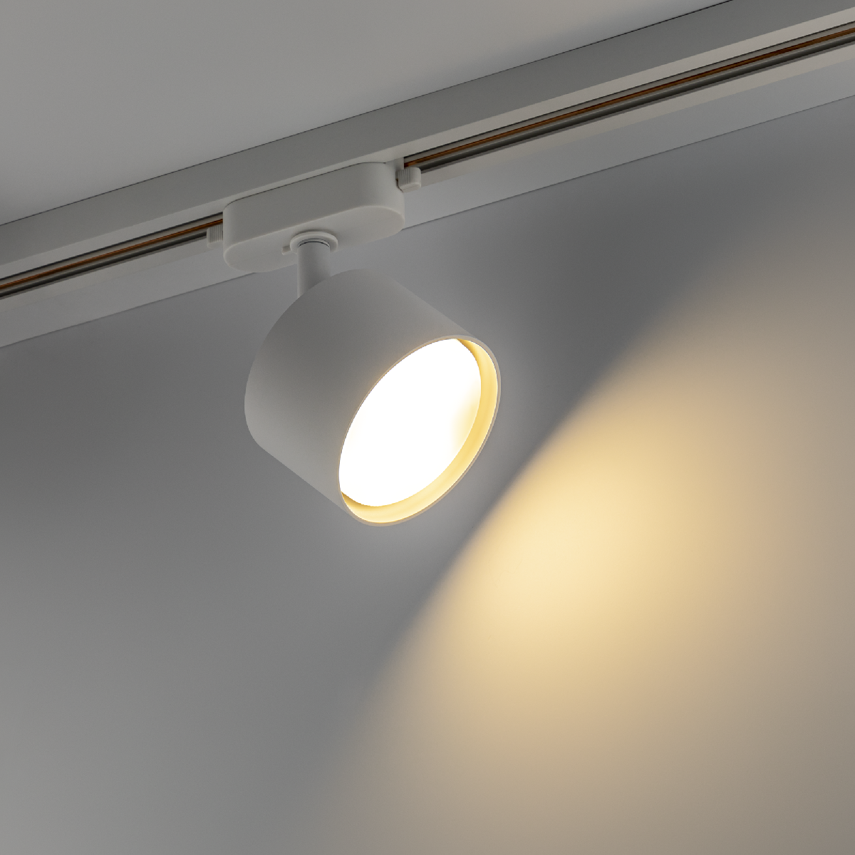 Трековый однофазный светильник Ritter Artline 59857 6