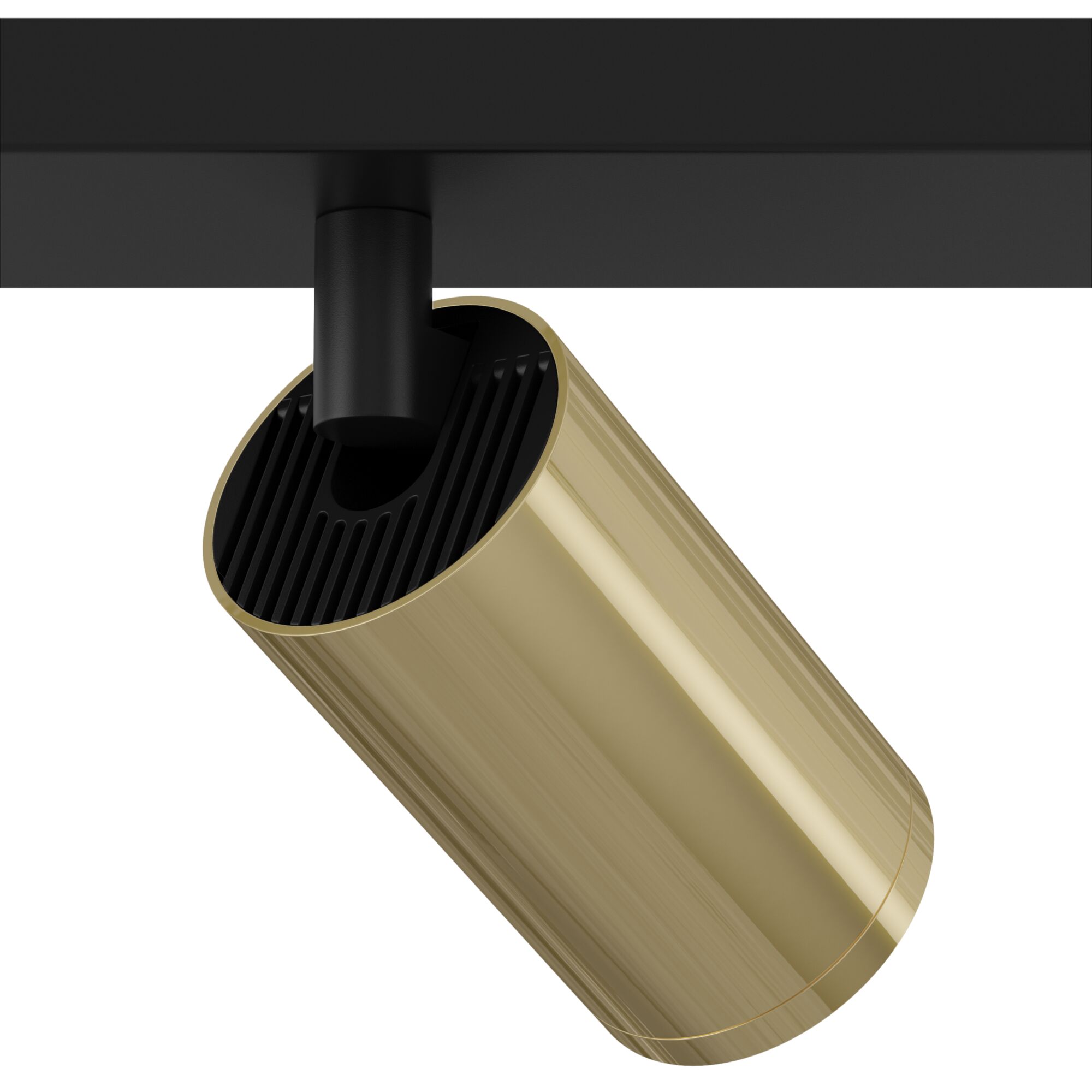 Спот Maytoni FOCUS S C051CL-02BG