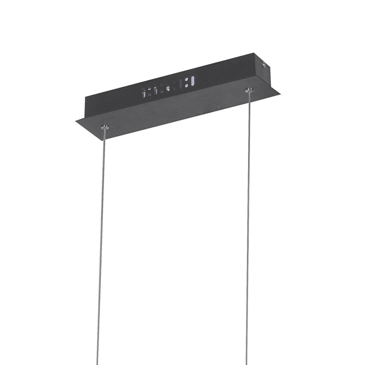 Подвесная светодиодная люстра Favourite Carcass 2382-14P