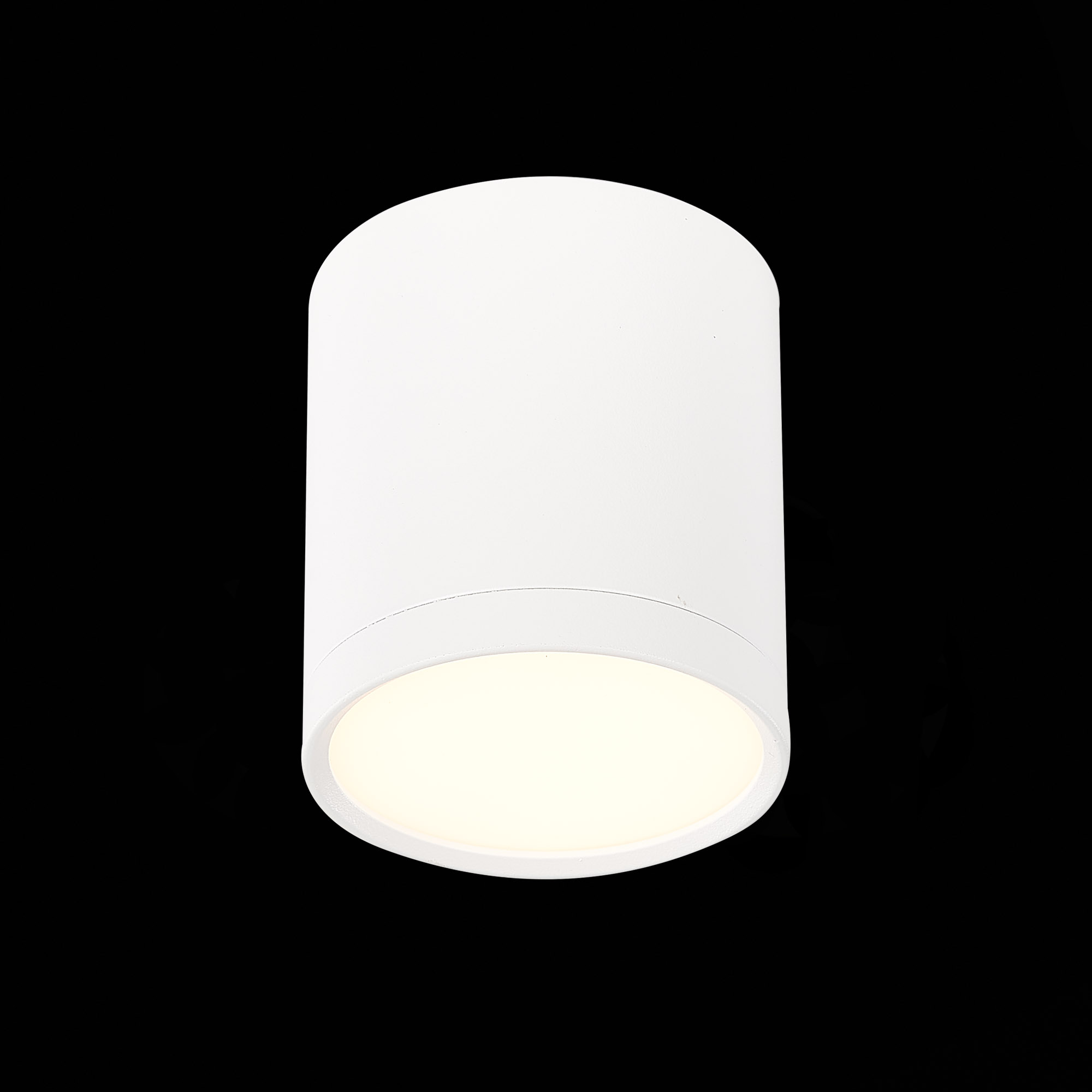 Потолочный светильник ST Luce Rene ST113.532.05