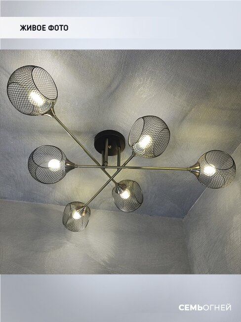 Потолочная люстра Wedo Light Stelara WD3511/6C-BK-AB-BK