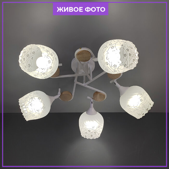 Потолочная люстра Wedo Light Bakin WD3320/5C-WT