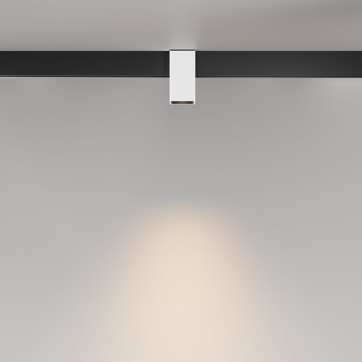 Трековый магнитный светильник Maytoni Alfa TR121-2-7W3K-W