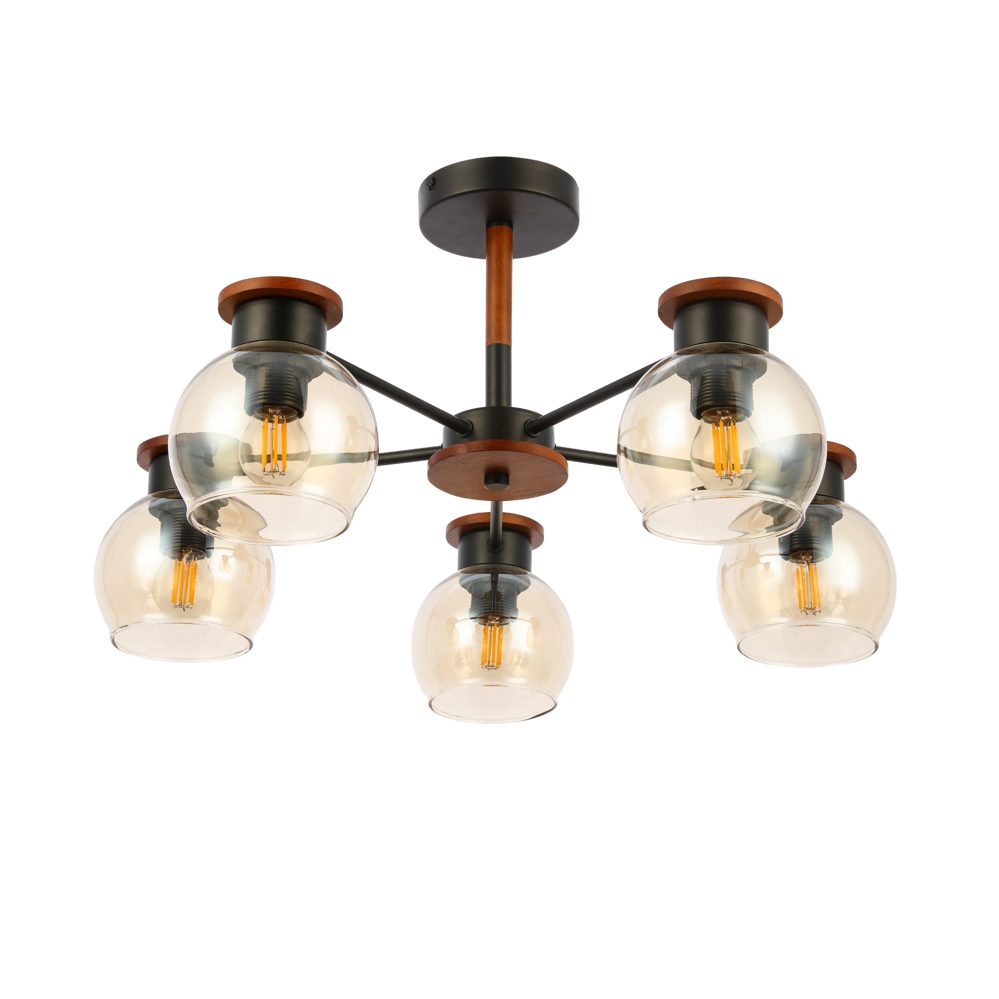 Потолочный светильник EVOLUCE RASCO SLE108102-05