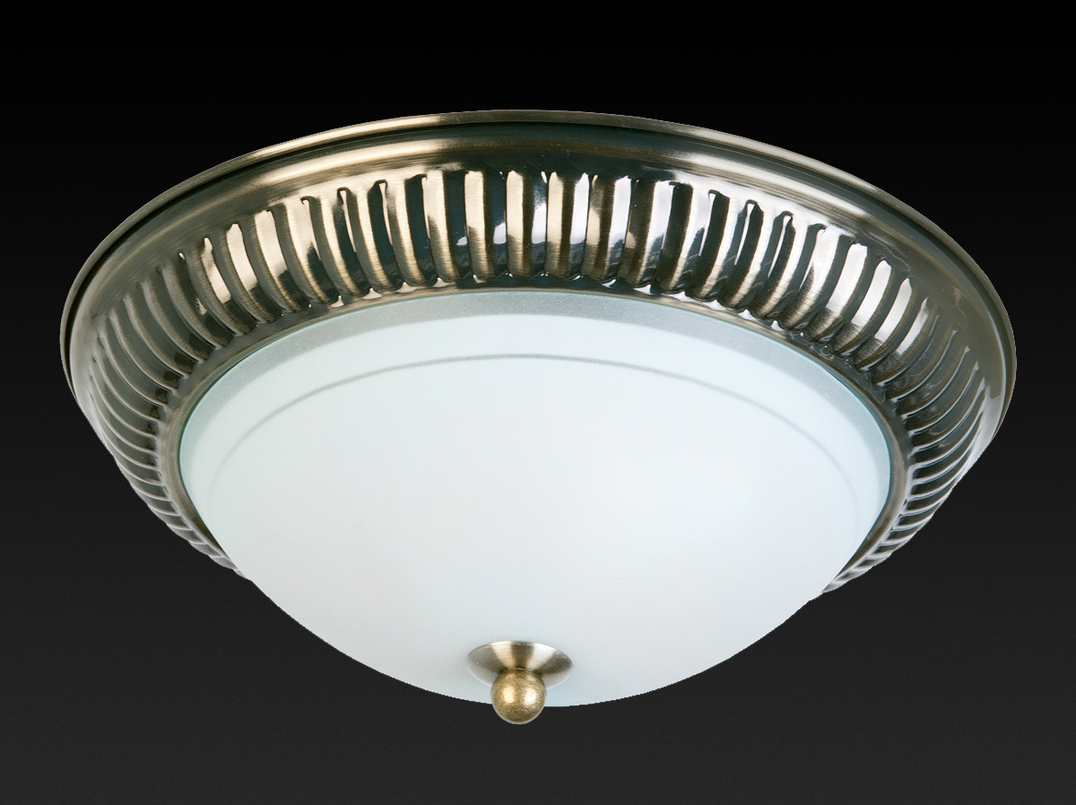 Накладной светильник Toplight Dora TL5040Y-02AB