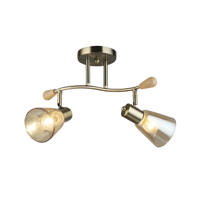 Потолочная люстра Wedo Light Perri 66775.01.05.02