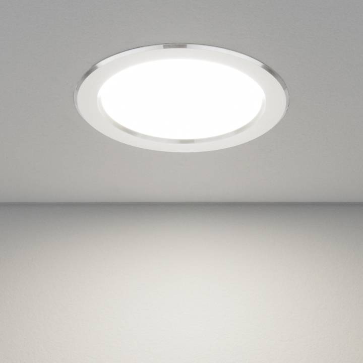 Вcтраиваемый светильник Elektrostandard Down Light 4690389055201